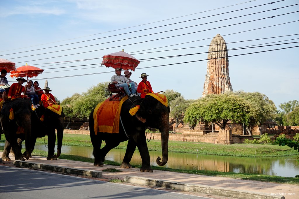 Wisata Naik Gajah Thailand