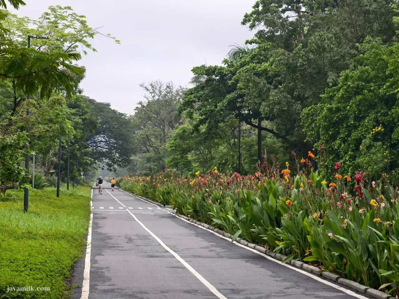 Benchakitti Park Jogging Track